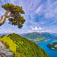 1000 Piece Jigsaw Puzzle, View of the Lake of Uri, Switzerland, Landscape puzzle, Mountain view, Adult Puzzle, Castorland C-105311-2
