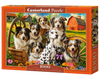 1000 Piece Jigsaw Puzzle, Happy Dogs In The Countryside, Pups in the Meadow, Rustic country puzzle, Adult Puzzle, Castorland C-105410-2