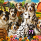 1000 Piece Jigsaw Puzzle, Happy Dogs In The Countryside, Pups in the Meadow, Rustic country puzzle, Adult Puzzle, Castorland C-105410-2