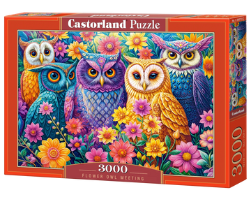 3000 Piece Jigsaw Puzzle, Flower Owl Meeting, Vibrant Colorful Owl Garden, Whimsical Folk Art Bird Scene, Adult Puzzle, Castorland C-300723-2