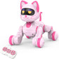 PRANITE Robot Cat, Remote Control Robot Toys for Kids, Interactive Kitty with Programmable, Dance, Touch Sensor, USB Rechargeabl