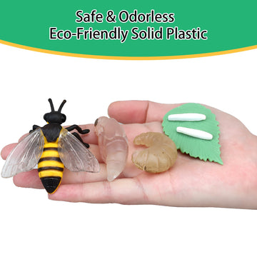 Boticako Montessori Life Cycle Learning - Montessori Life Cycle Animal Figures With Flash Cards, Plastic Insects Monarch Butterf