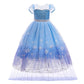 Fmyfwy Girls Frozen Elsa Princess Fancy Dress Up Outfits Halloween Costume Christmas Birthday Party Tulle Gown W/Accessories Blue 3T