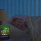 Educational Light-Up Terrarium Kit
