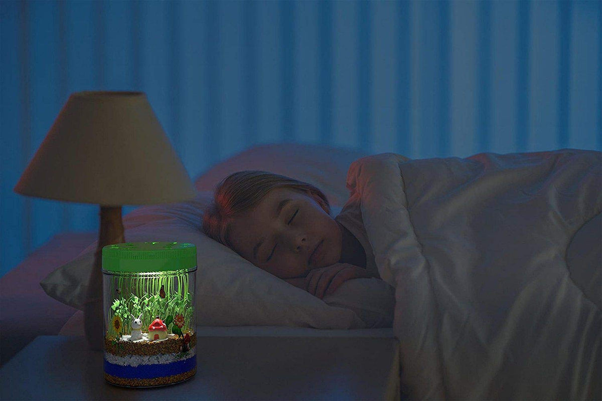 Educational Light-Up Terrarium Kit