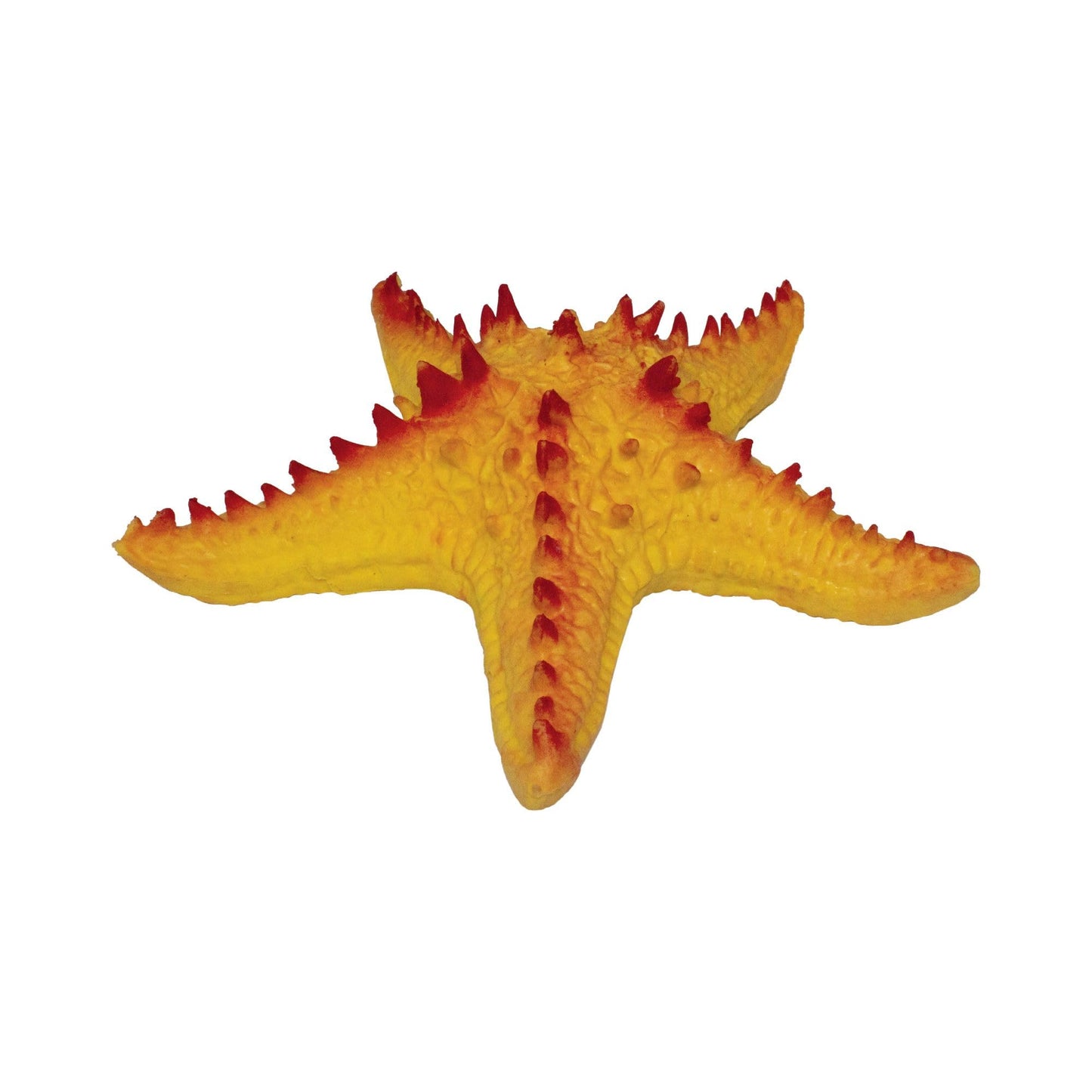 Rep Pals - Starfish, Stretchy Toy from Deluxebase. Super Stretchy Animal replicas That Feel Real, Great for Kids