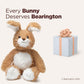 Bearington Scruffles The Stuffed Easter Bunny  16 Inch Rabbit Stuffed Animal  Stuffed Rabbit