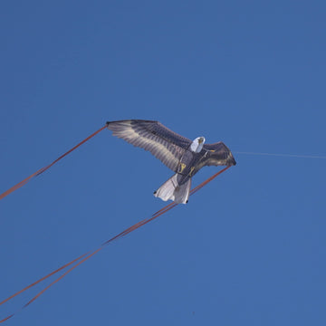 X Kites Birdsofprey® Eagle Nylon Bird Kite, 49 Inches Wide