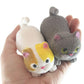 2 Stretchy Cat Crushed Bead Sand Filled - Kitty Lover Sensory Fidget Toy Weighted (Random Colors)