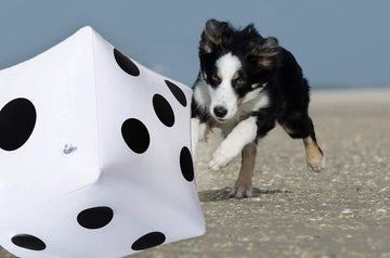 13 inch Giant Inflatable Dice Pool Toy for Lawn Game Outdoor Floor Games
