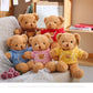 Galatee Cute Teddy Bear Plush Stuffed Animal, Teddy Bear With Clothes, Gifts For Children(15.7' Brown)