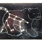 Light Learning Constellations