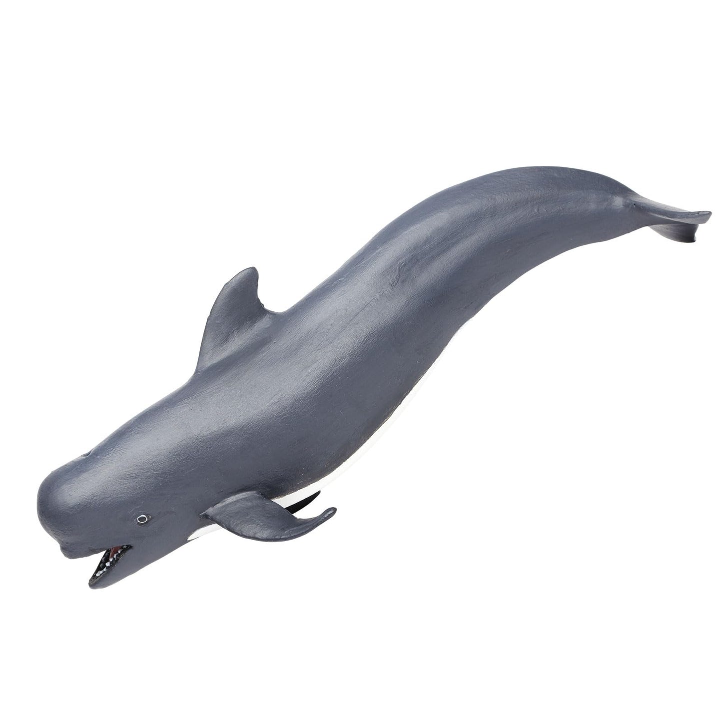 Safari Pilot Whale