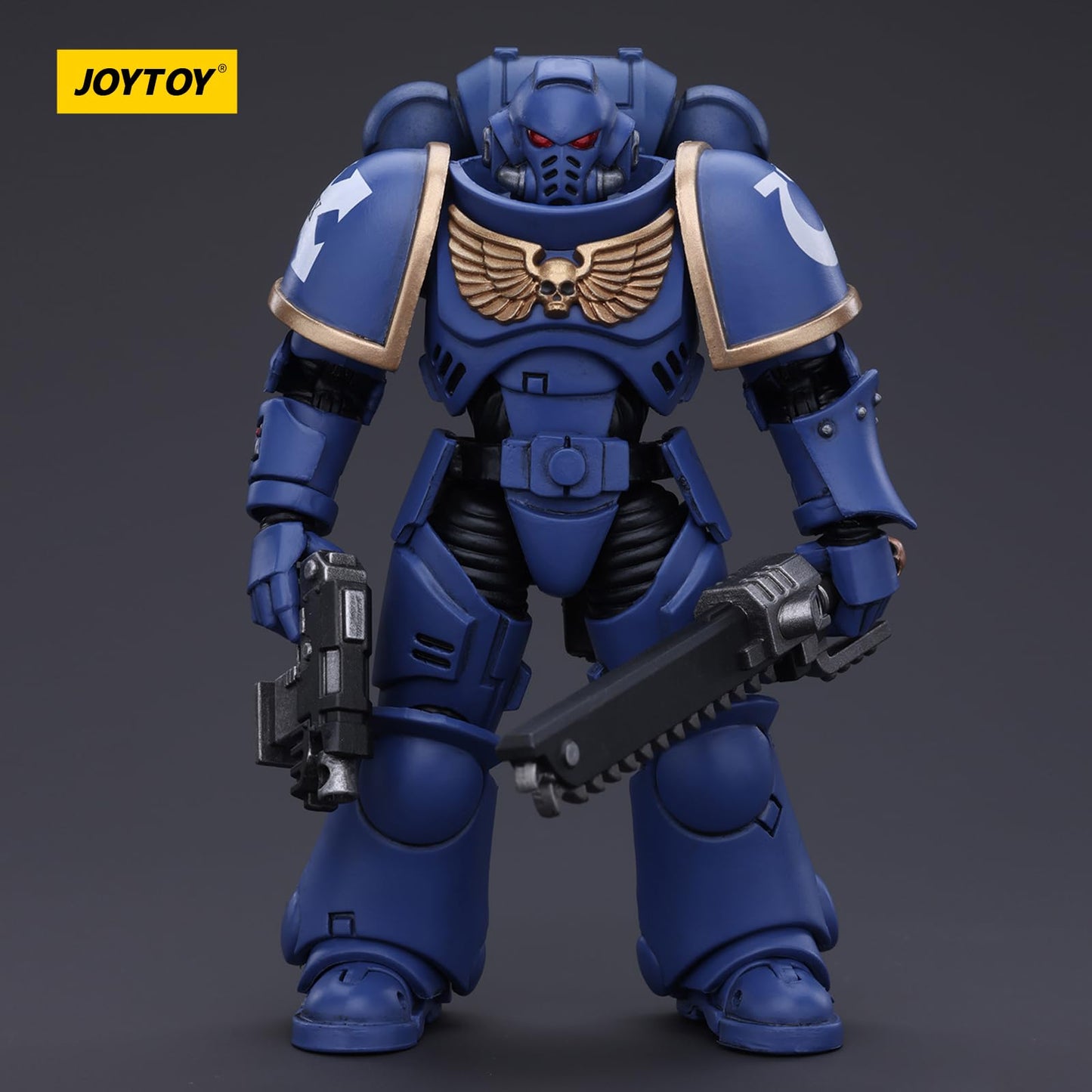 JOYTOY Warhammer 40k Space Marines, Space Marines Ultramarines Outriders Brother Catonus 1/18 Action Figure, Dedicated to You Wh