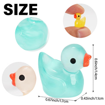CRTWDMAN 240Pcs Luminous Mini Resin Ducks - Glow in the Dark Tiny Ducks for Party Favors, Decorations, and Collectibles
