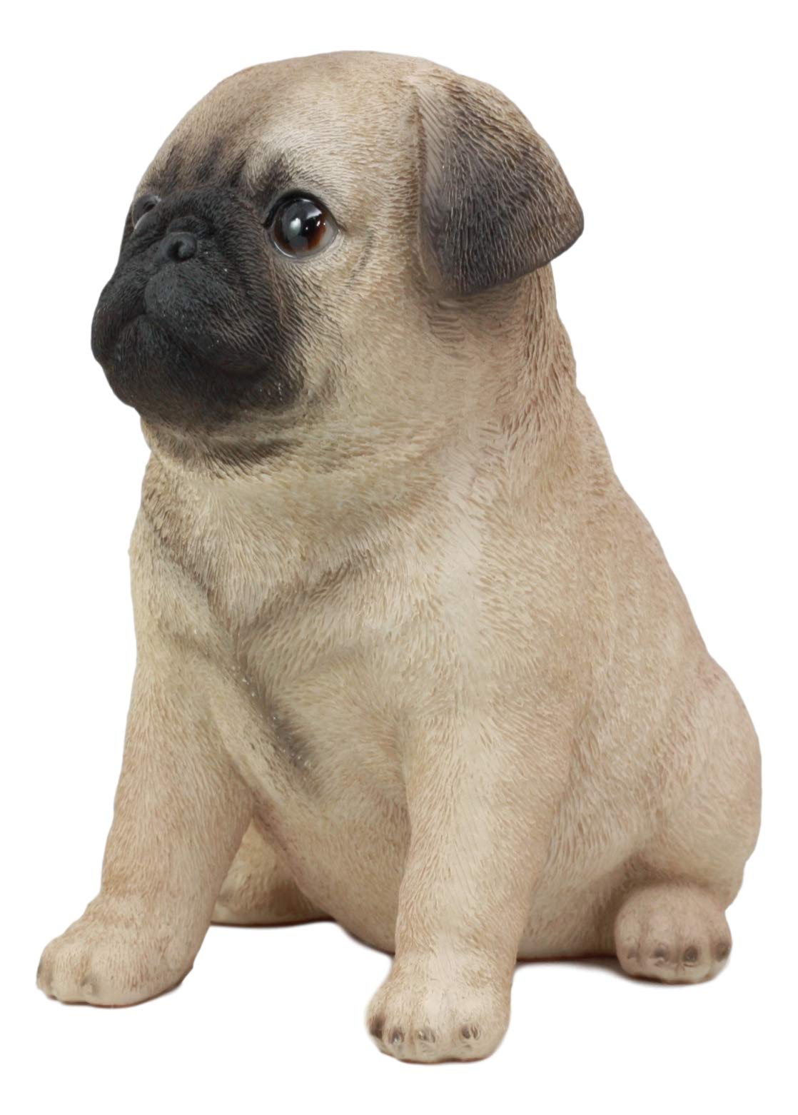 Ebros Gift Realistic Lifelike Adorable Sitting Pug Dog Statue 6' Tall Pet Pal Pugs Puppy Pup Dog Breed Collectible Resin Decor Figurine With Glass Eyes