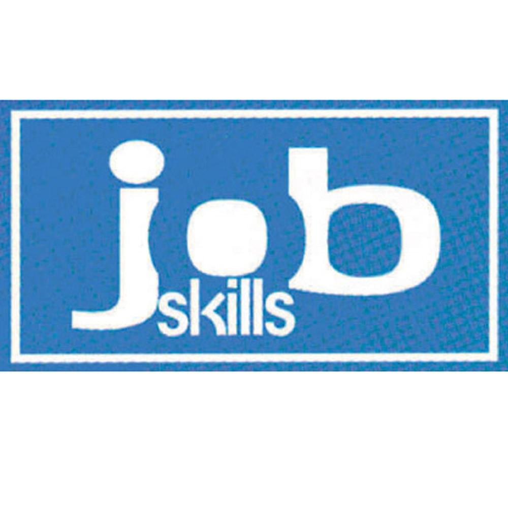 Wellness Reproductions & Publishing Job Skills Cards