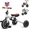 EagleStone Tricycle for Toddlers 1-3 Years Old,4 in 1 Foldable Toddler Bike, Birthday Gifts and Toys for 2, 3, 4, 5 Years Old Bo