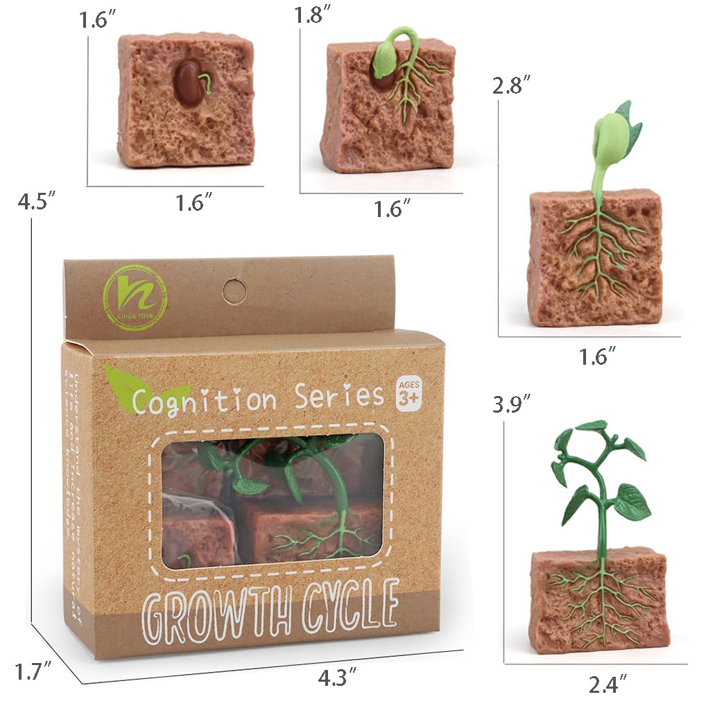 Montessori Life Cycle Learning - Montessori Life Cycle Animal Figures With Flash Cards, Realistic Animal Figurines Toy, Animal E