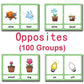 Richardy 100 Groups English Antonyms Flashcards Building Vocabulary Pocket Cards Educational Learning Toys Pre-Kindergarten Clas