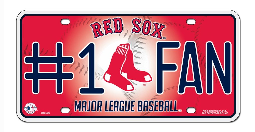MLB Tampa Bay Rays #1 Fan Metal Tag