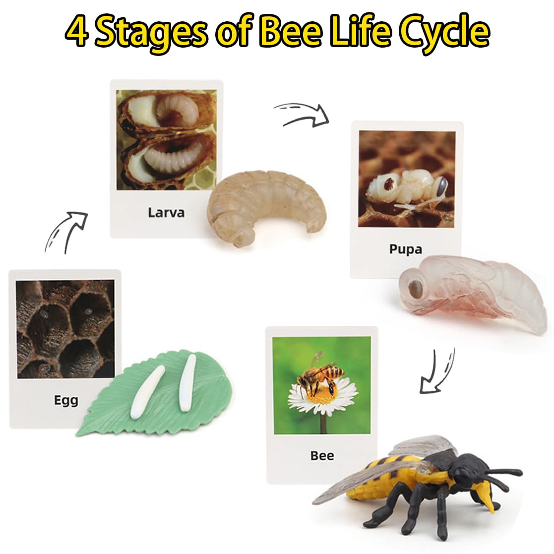 Montessori Life Cycle Animal Figures With Flash Cards, Realistic Animal Figurines Toy, And Educational Matching Game For Kids (P