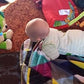 Baby Bear Song Learner