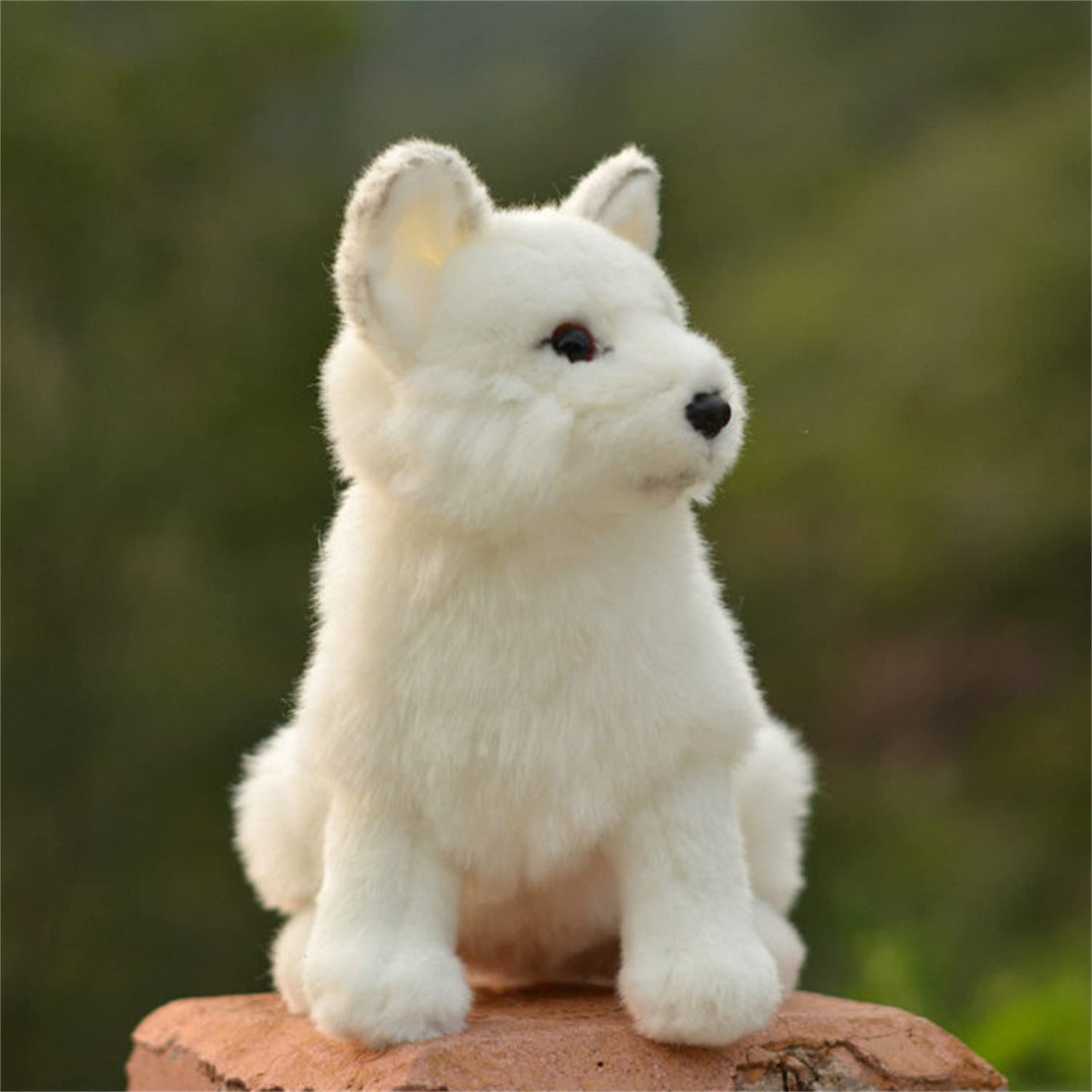 Tammyflyfly Arctic Fox Plush Toy 11 Inches, 28Cm, Soft Snow Queen Fox Stuffed Animal Doll (A-Sit)