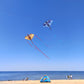 Dragon Kite For Adults, Kids Kite, Kite Boy,Beach Kite, Large Kite,Kites For Kids Ages 8 12 Easy To Fly, Kite For Beginners, Lar