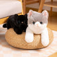 Yeqivo Cat Stuffed Animal Realistic Cat Plush Toy,Soft Plush Kitty Stuffed Animal For Kids Girlfriend,Cute Plush Cat Animals For