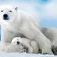 Eurographics Polar Bear And Baby Puzzle (1000-Piece), 6000-1198