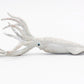 Gemini&Genius Squid Toy for Kids - Marine Animal Ocean World Toy Figure - 6 Inches Length-Sea Animal Action Figure Toy for Kids