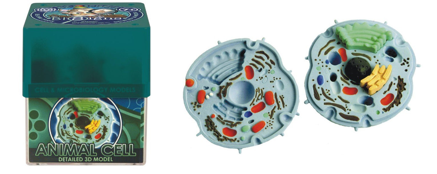 Ein-O Science Biosigns Animal Cell