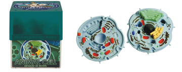 Ein-O Science Biosigns Animal Cell