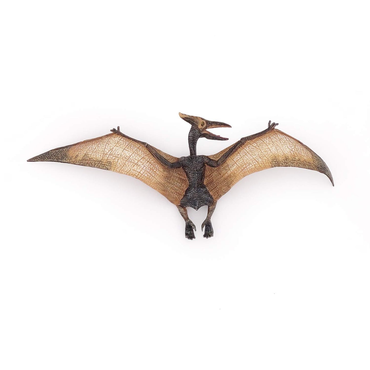 Papo Pteranodon Dinosaur Figure, 8.8cm, Multicolor, Plastic, Model 55006