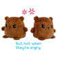 Teeturtle - Plushmates - Magnetic Reversible Plushies That Hold Hands When Happy - Otter - Huggable And Soft Sensory Fidget Toy