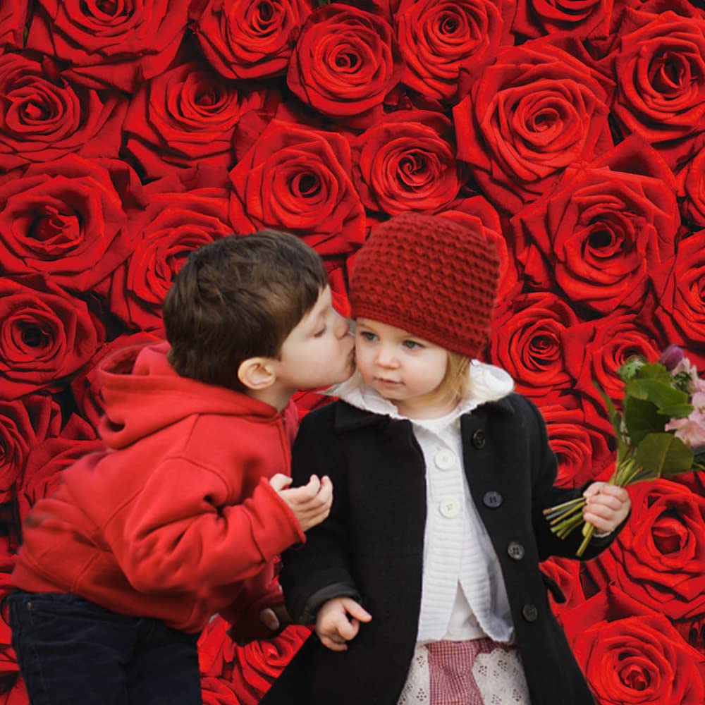 INRUI Red Rose Floral Wedding Photography Backdrop, 8x10FT Vinyl, Model RUINI_Flower034
