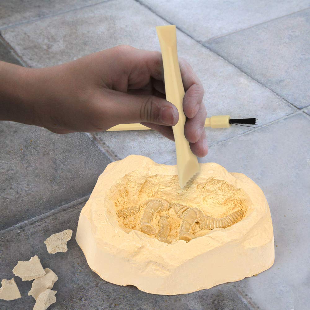 Byncceh Dinosaur Fossil Digging Kit - STEM Toy for Kids 6-12, Excavates 12 Bones, Glow in The Dark, 6.24 x 13.65 x