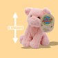 Your Planet 6 Eco Soft Plush (Pig)