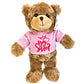 Jolitee Teddy Bear Stuffed Animal Big Sister Plush For Little Girls, Toddlers I'M A Big Sister Gift, 10 Inches