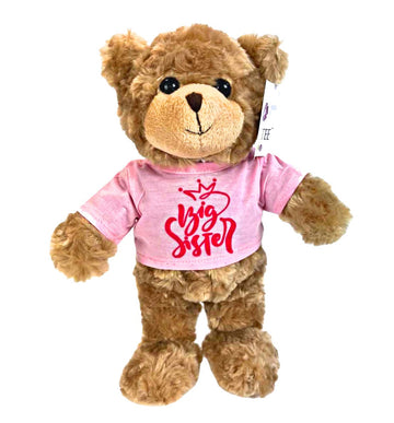 Jolitee Teddy Bear Stuffed Animal Big Sister Plush For Little Girls, Toddlers I'M A Big Sister Gift, 10 Inches