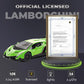Qun Xing Remote Control Rc Car Racing Cars Lambo Officially Licensed 1:24 Toy Rc Cars Model Vehicle For Boys 5,6,7,8 Years Old,