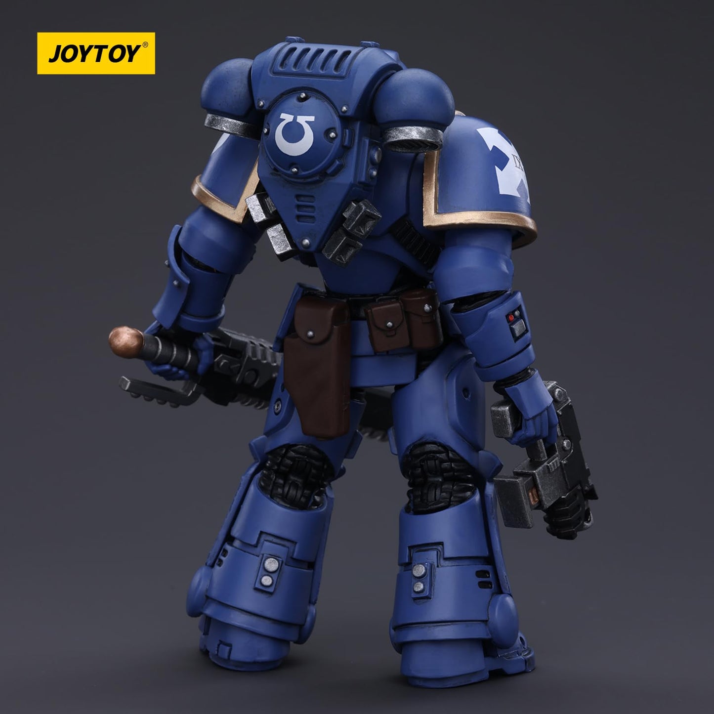 JOYTOY Warhammer 40k Space Marines, Space Marines Ultramarines Outriders Brother Catonus 1/18 Action Figure, Dedicated to You Wh