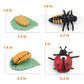 Montessori Life Cycle Animal Figures With Flash Cards, Realistic Animal Figurines Toy, Animal Match Set With Butterfly Frog Ladybug, Educational Matching Game For 3+ Year Old Toddlers Kids (Ladybug)