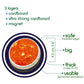 Magdum Solar System For Kids - Fridge Magnets For Toddlers - Planets For Kids Solar System Toys - 22 Magnetic Planet Kids Magnets - Refrigerator Magnets For Kids Magnetic Toys Toddler Toys Baby Toys