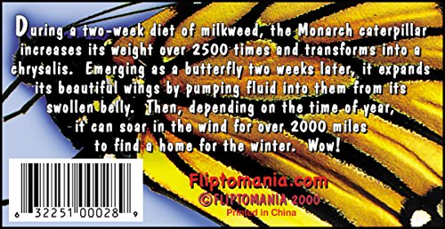 Fliptomania Caterpillar to Monarch Butterfly Flipbook - Medium White Paper Model 402BFLY