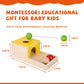Montessori Toys For 1+ Year Old Baby Gifts,Play Kit Box Includes Carrot Harvest Games,Infant Coin Box,Fine Motor Skills Toys And Object Permanence Box,Montessori Toys For Babies 6-12 Month(4-In-1)