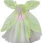Petitebella Fairy Costume Dress 1-10Y (Light Green, 2-4 Years)