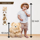 AlpacaNext Soft and Cuddly Baby Alpaca Teddy Bear - 18 inch. enhanced Alpaca Stuffed Animal Handmade on Genuine Alpaka Fur. Cute Bear (18 inches  Beige)