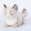 Adorable Stuffed Animals Cat -Handmade Plush Soft Cat -Present Gift For Boys/Girls (Sleeping Ragdoll Cat)